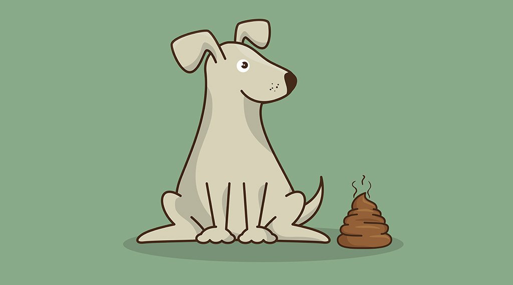 Ilustração Cachorro