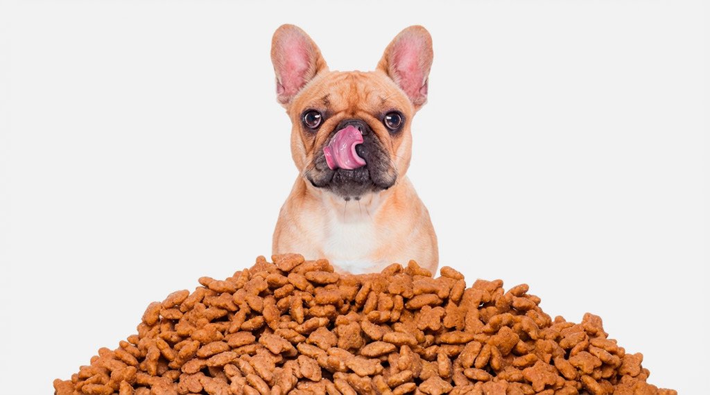Dog Food
