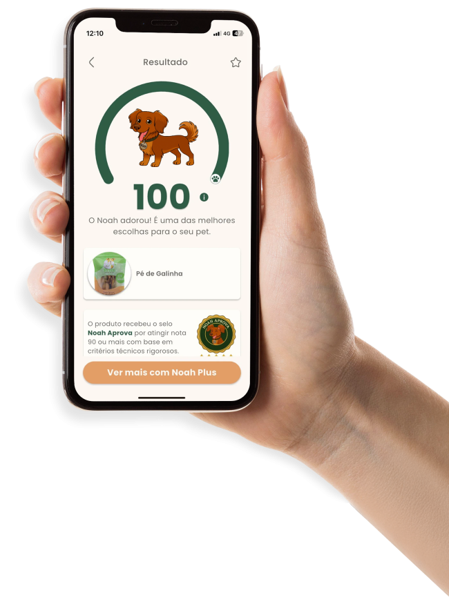 Imagem ilustrativa do aplicativo